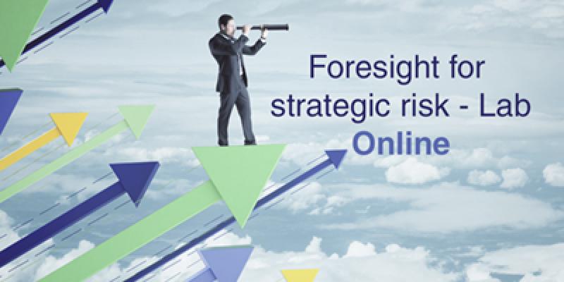 Foresight_for_strategic_risk